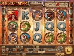 Bird of Thunder Slots